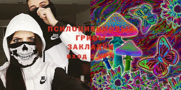 ПСИЛОЦИБИНОВЫЕ ГРИБЫ Пролетарск