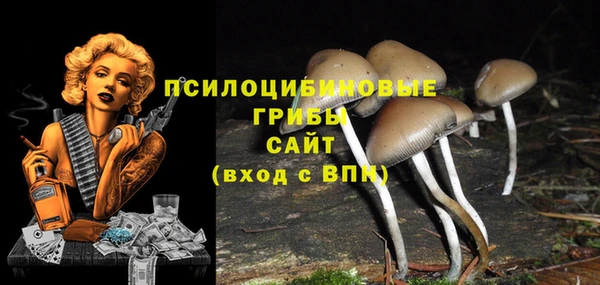 круглые Алексеевка