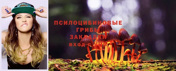 круглые Алексеевка