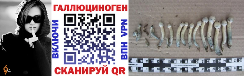 Галлюциногенные грибы прущие грибы  наркота  Бикин 