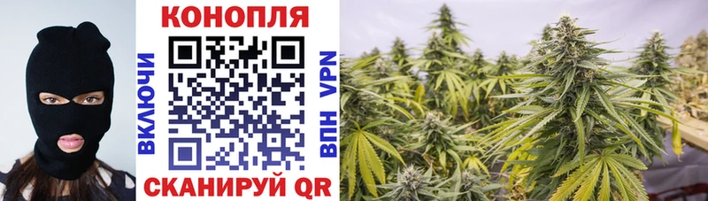 Бошки марихуана VHQ  цена наркотик  Бикин 